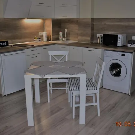 White Cat Apartment