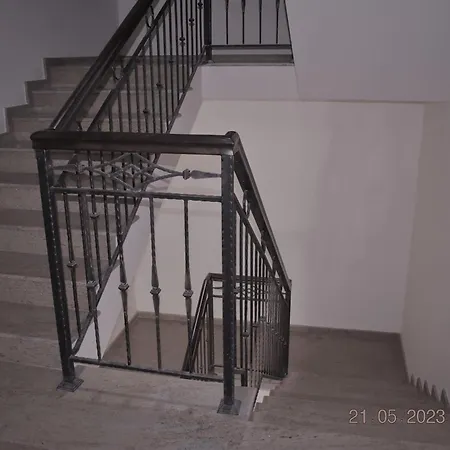 White Cat Apartment *